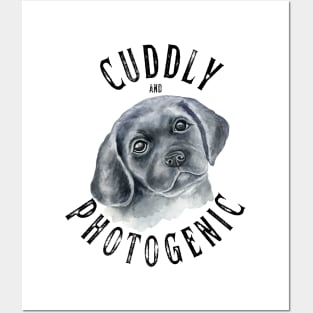 Cuddly and Photogenic Tshirt Posters and Art